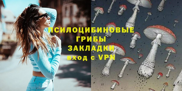 гашик Баксан