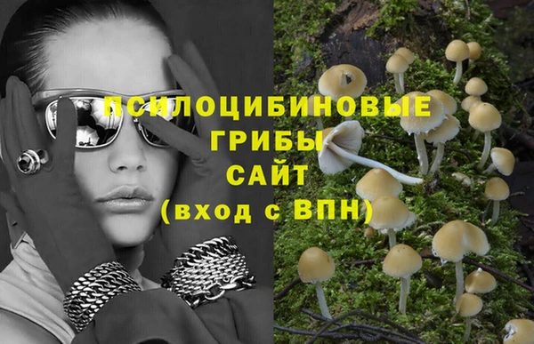 прущая мука Балахна