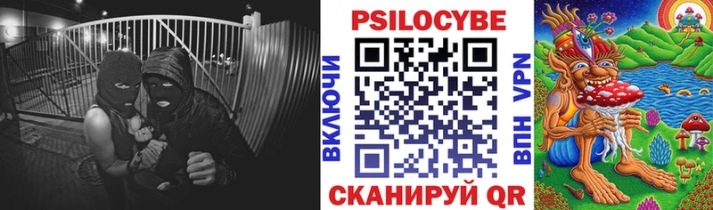 Галлюциногенные грибы Psilocybine cubensis Ядрин